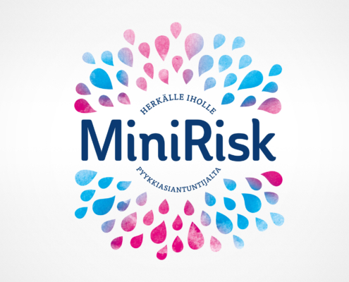 Case: Mini Risk