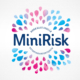 Case: Mini Risk