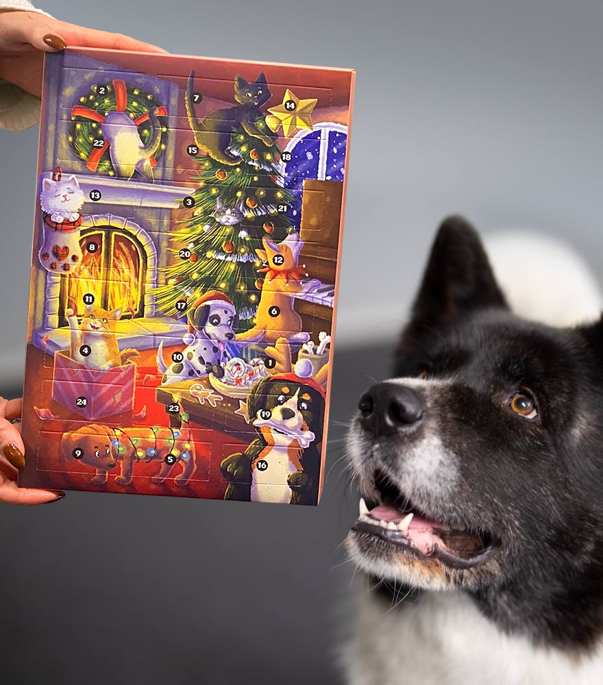 Persoonalliset kuvitukset erottuvat